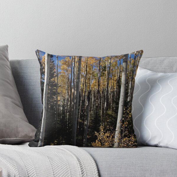Item preview, Aspen Vista, Santa Fe, 2010 (6) designed and sold by jackmbernstein.