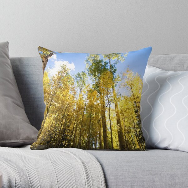 Surrounded by Color Throw Pillow