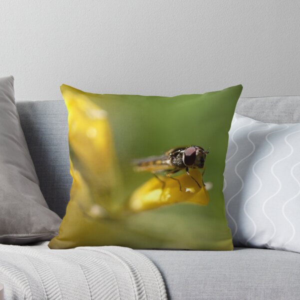 Item preview, The eyes have it designed and sold by Jen7.