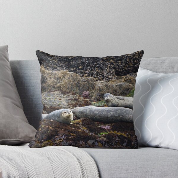 Item preview, Harbor Seals Basking - Oregon Coast designed and sold by Randall Ingalls.