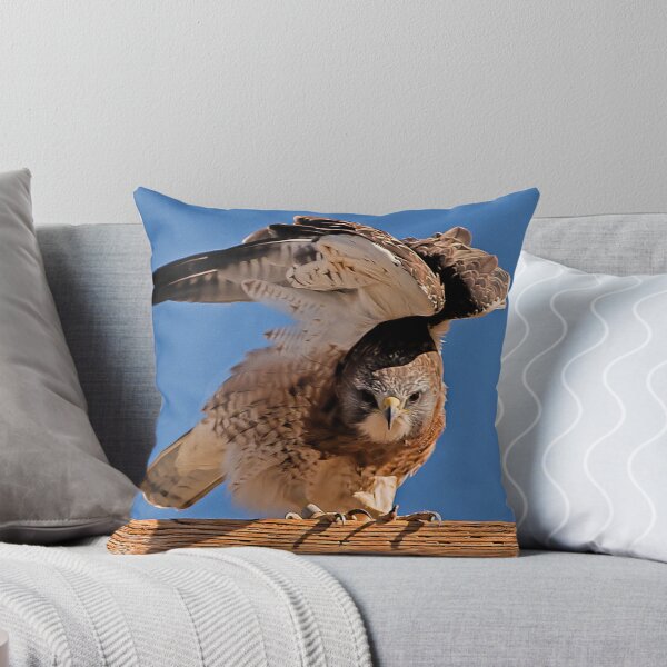 Item preview, 100210 Swainson's Hawk designed and sold by Marvin Collins.
