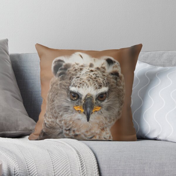African Crowned Eagle Throw Pillow