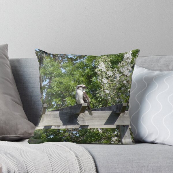 Item preview, kookaburra resting designed and sold by Angelofdeathjes.