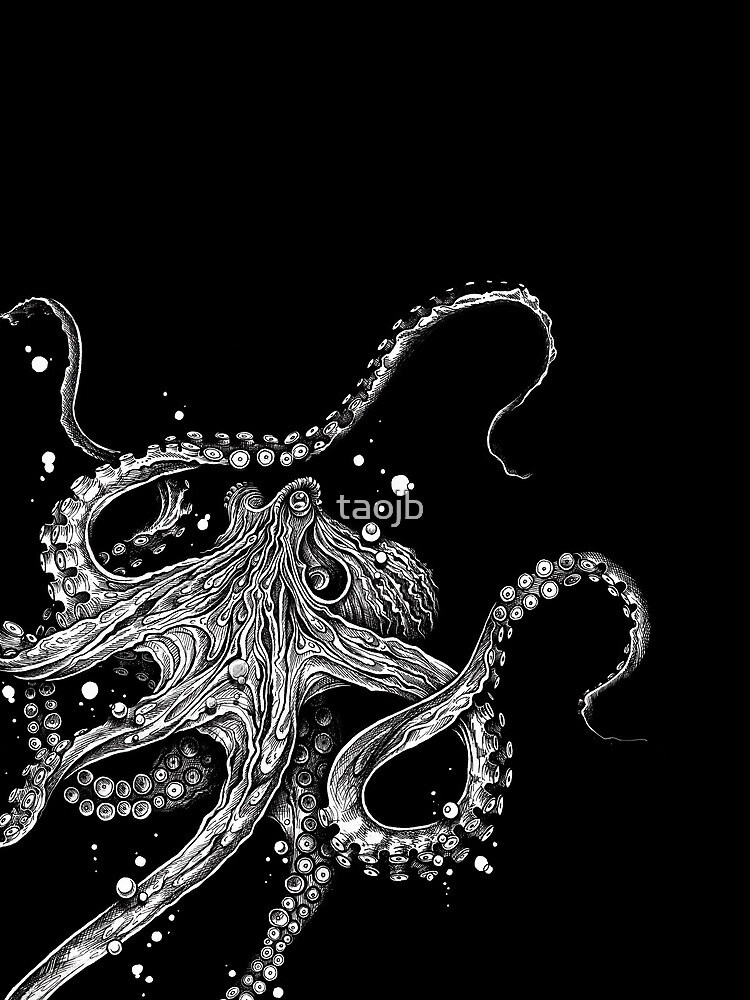 Octopus by taojb