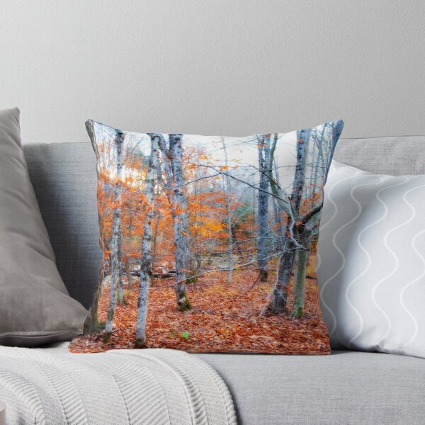 Item preview, A Walk in the Woods designed and sold by WarrenMangione.
