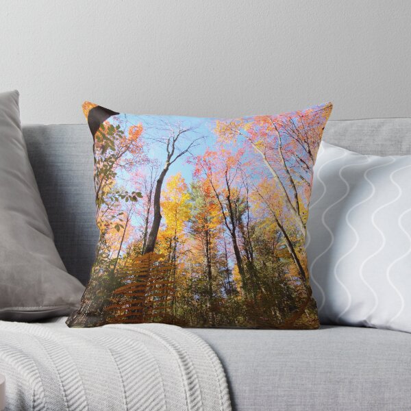 Surrounded by Colour Throw Pillow