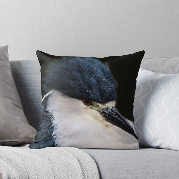 Item preview, Black Crowned Night Heron Up Close designed and sold by Paulette1021.