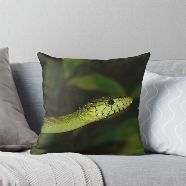 Artikelvorschau, Green Mamba entworfen und verkauft von Kristin Wertman.