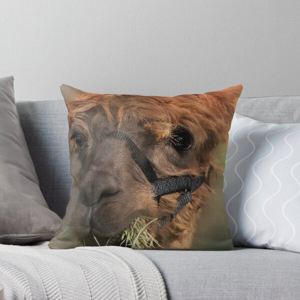 Item preview, My What Big Eyes..... designed and sold by enchantedImages.