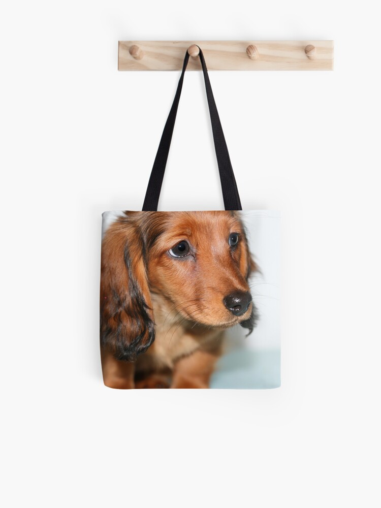Miniature Long Haired Dachshund Puppy Looking Sad Tote Bag By
