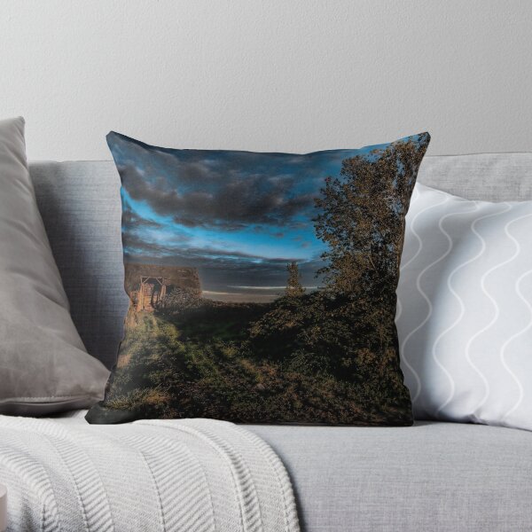 Abandoned Barn Throw Pillow