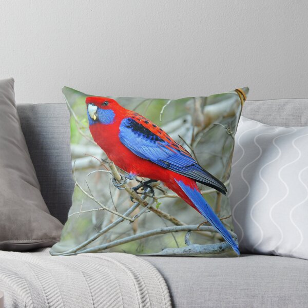 Item preview, Crimson Rosella. Cedar Creek, Queensland, Australia. designed and sold by Ralph de Zilva.