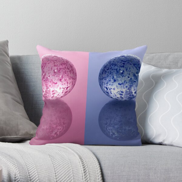 two Throw Pillow