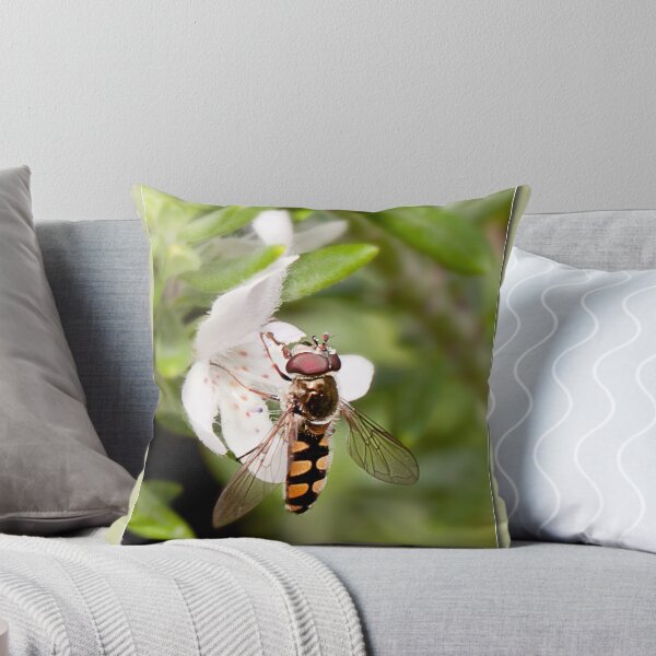 Item preview, hovering around designed and sold by kevin Chippindall.