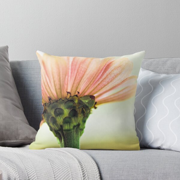 Aperçu de l'œuvre Zinnia in the light créée et vendue par Asanova.