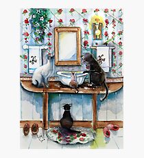 Cats in my Powder Room Photographic Print