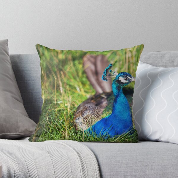 Peacock Throw Pillow
