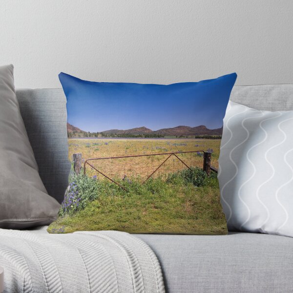 Paddock gate in the Flinders Ranges, SA Throw Pillow