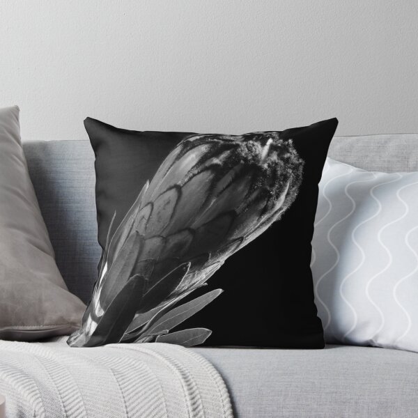Item preview, Protea Noir - black and white still life photo designed and sold by Brian Thedell.