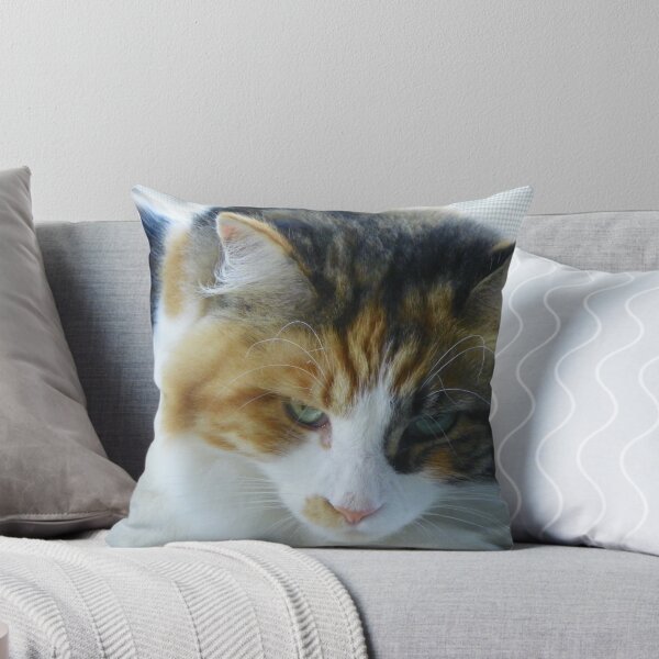 Item preview, Maine Coon cat Lexus keeping a watchful eye designed and sold by MeMeBev.
