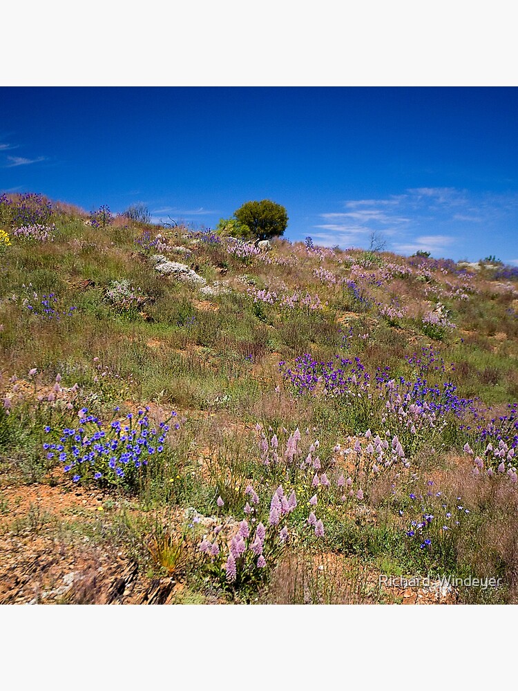 Hill of Flowers by RICHARDW