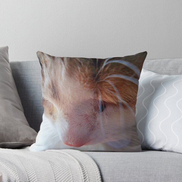 Item preview, Sad Kitty designed and sold by Caroline Hannessen.