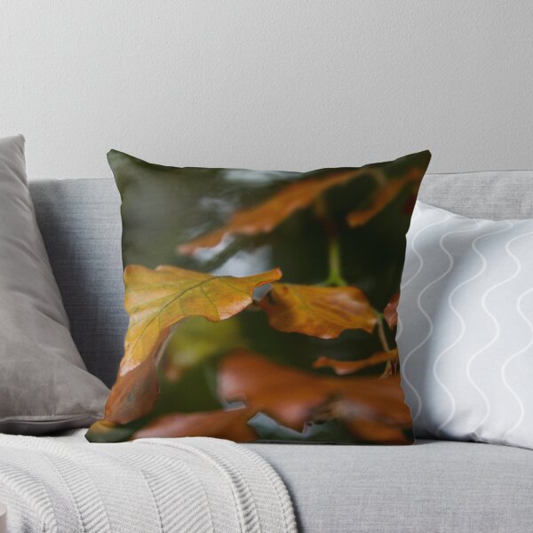 Artikelvorschau, Autumn Woodland entworfen und verkauft von Alan Dryer.