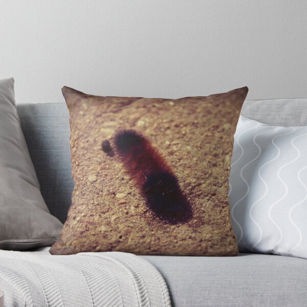 Item preview, Banded Woolly Bear Caterpillar designed and sold by jsarge.