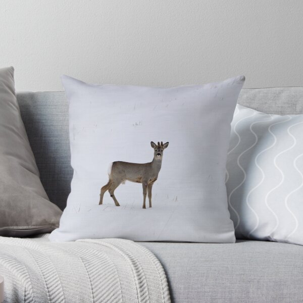 Roe buck in winter 3 Throw Pillow