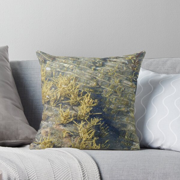 Item preview, Fraser Reef - Rock Pool - NSW designed and sold by Sandy MacLean.