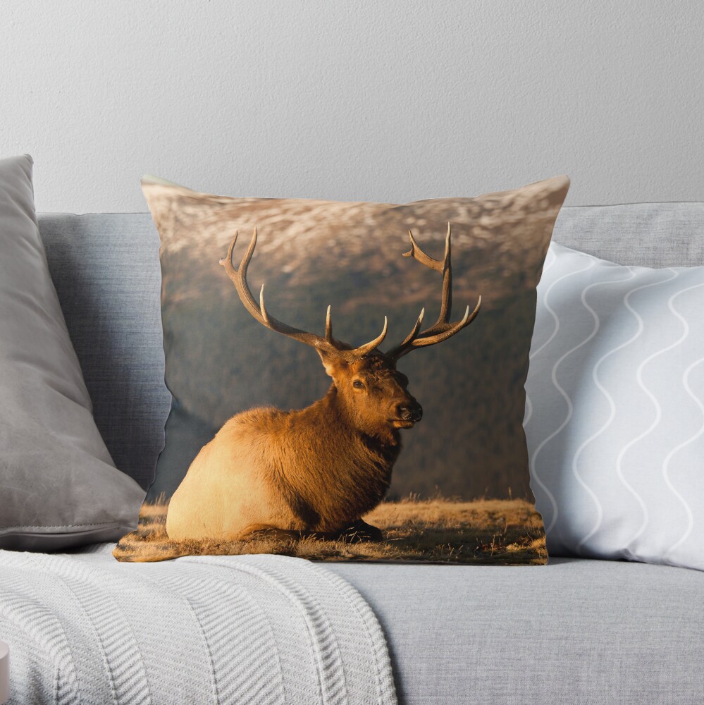 The Great Bull Elk At Rest Throw Pillow