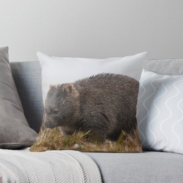 Artikelvorschau, Wombat entworfen und verkauft von Andy Townsend.