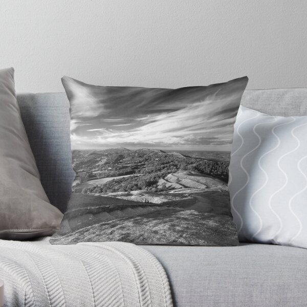 Malvern Mono Throw Pillow