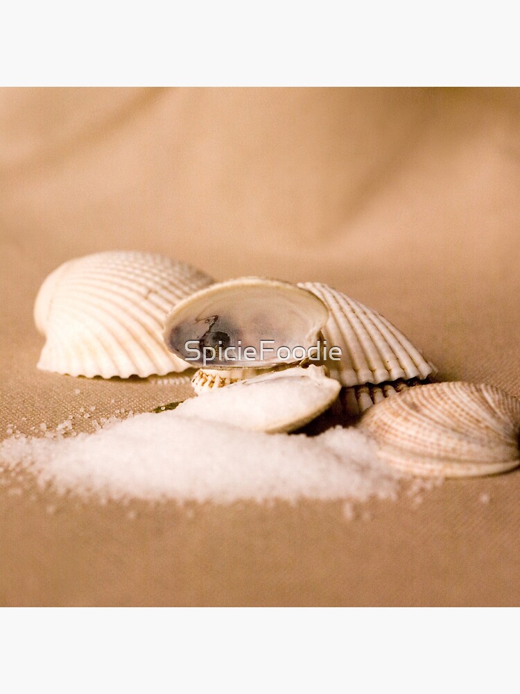 Thumbnail 4 of 4, Pillow, Sea Shells and Sea Salt designed and sold by SpicieFoodie.