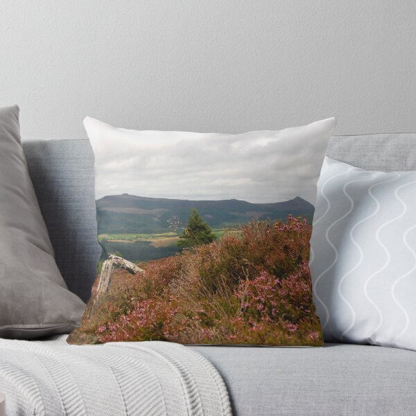 Item preview, Spot The Grouse designed and sold by R John Hughes.