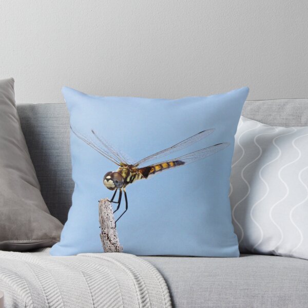 Item preview, Dragonfly 3 designed and sold by Anthony Goldman.