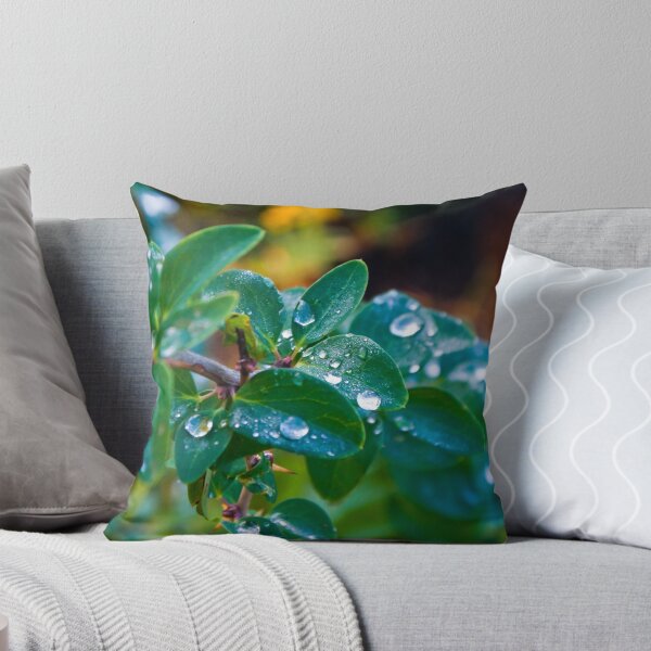 Item preview, Water drops on leaves designed and sold by Jarivip.