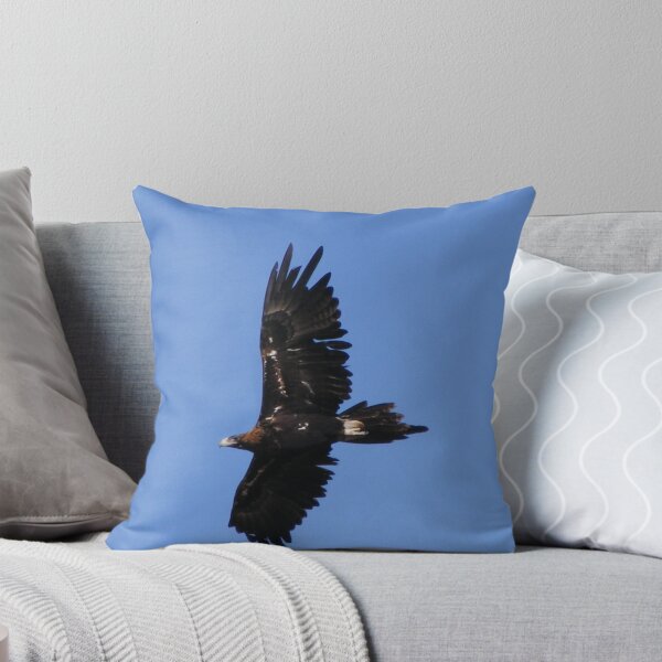 Item preview, Wedge-tailed Eagle - Lake Curlew, NSW designed and sold by gregorymcinnes.