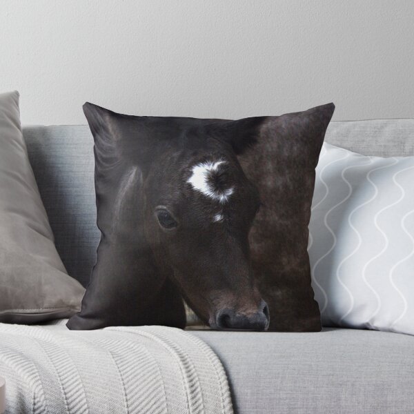 Connemara Pony Foal with amazing markings Throw Pillow
