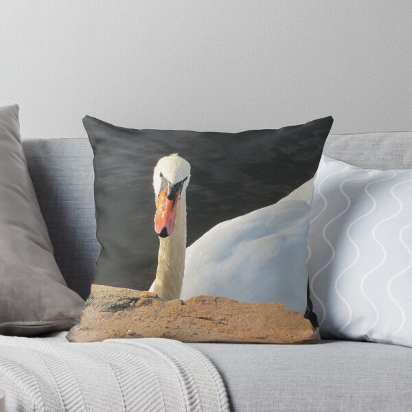 Item preview, Looking through a Swans Eyes designed and sold by Picture-It.