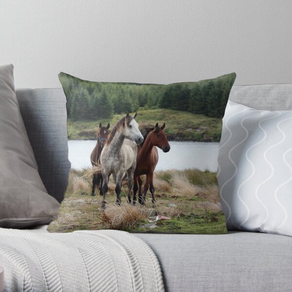 Connemara Ponies in the wild in Connemara, Ireland Throw Pillow