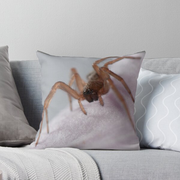 Item preview, Lookin at you, lookin at me designed and sold by Andrew Prince.