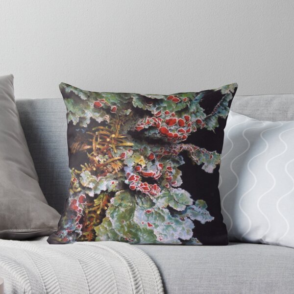 Item preview, Colony of Tasmanian Lichen designed and sold by dyas.