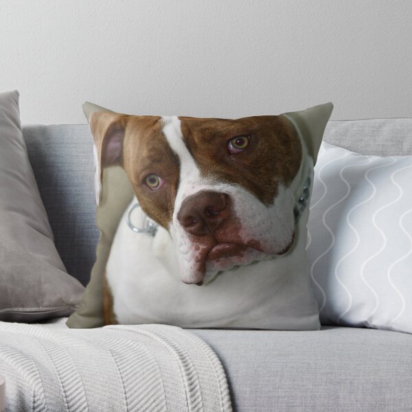 Pleeezzzz just one more! Throw Pillow