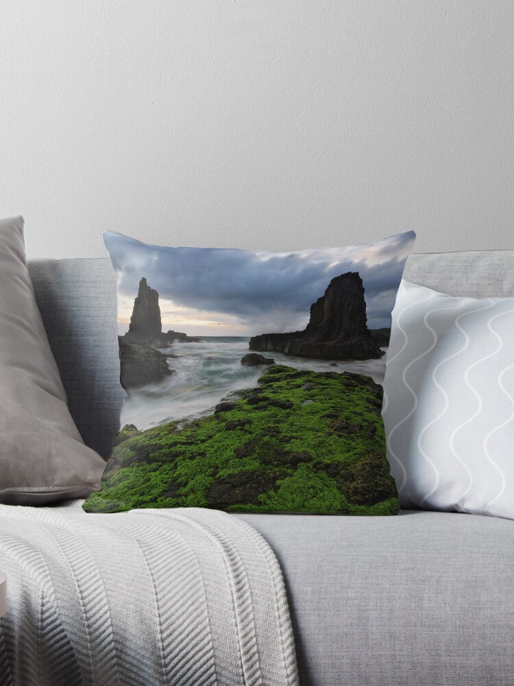 Item preview, Throw Pillow designed and sold by Robsteriography.