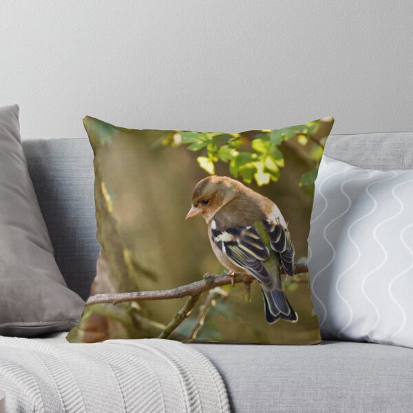 Item preview, Female Chaffinch I believe designed and sold by Phil-Edwards.
