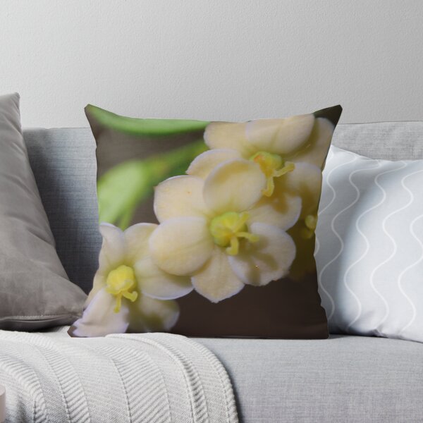 Phyllanthus microcladus Throw Pillow