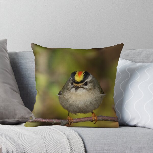 Item preview, Golden Crowned Kinglet designed and sold by John Absher.