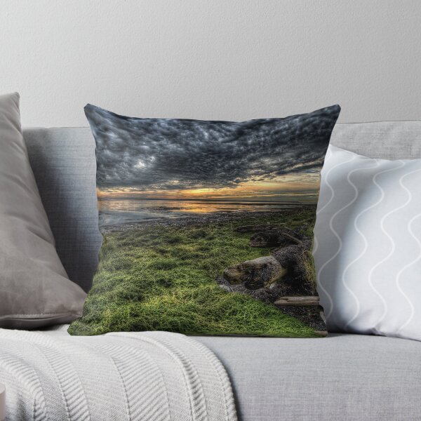 Foreshore at Boundary Bay Throw Pillow