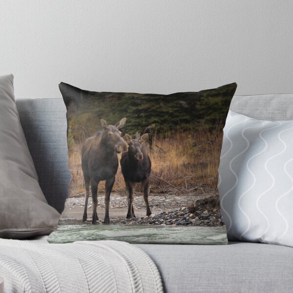 Item preview, Cautious Moose designed and sold by James (820Photography) Anderson.